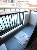 ベランダ・バルコニー エルヴィーナ板橋(501)