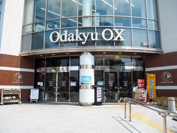 OdakyuOX(スーパー)まで711m ロックス新百合ヶ丘