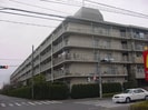第弐春日部サンハイツ(410)の外観
