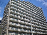 ﾗｲｵﾝｽﾞﾋﾙｽﾞ横須賀浦賀(１１０８)