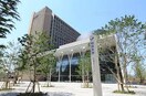 明治大学(大学/短大/専門学校)まで1596m エクシード・ポメロ