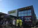TSUTAYA 日吉本町店(ビデオ/DVD)まで820m ベルレ－ヌ