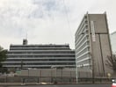 目黒区役所(役所)まで500m ヒルハウス