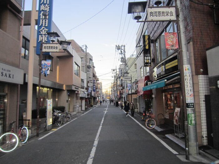 ドトールコーヒーショップ 向河原店(カフェ)まで210m エスポワール　２１