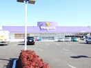 ウェルパーク綾瀬深谷店(ドラッグストア)まで100m アルバ・エトワ－ル