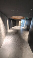 エントランス部分 ザ・パークハビオ新高円寺