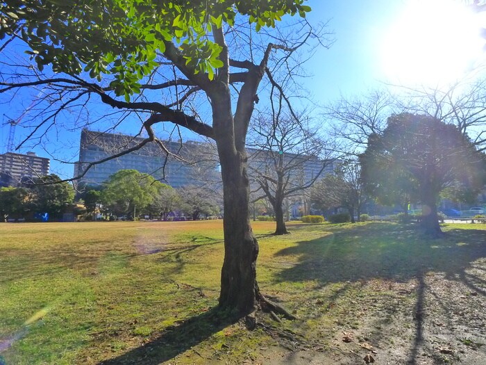 稲毛東公園(公園)まで240m コンフォール　エム・アイ