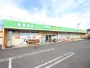 ドラッグエース 岸町南店(ドラッグストア)まで850m 仮）岸町3丁目新築AP