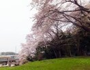 高田西公園(公園)まで510m ガーデンハイツ