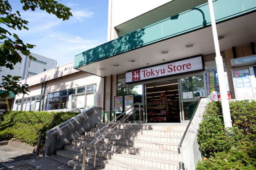 江田 東急ストア(スーパー)まで95m エクセルプラザ
