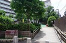 六号坂上公園(公園)まで110m HJ　PLACE　HATAGAYA