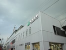 南越谷駅(コンビニ)まで180m かさぷらた