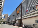 ダイエー赤羽店(スーパー)まで340m 鴻志館