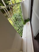 内観写真 ハイムアベリア