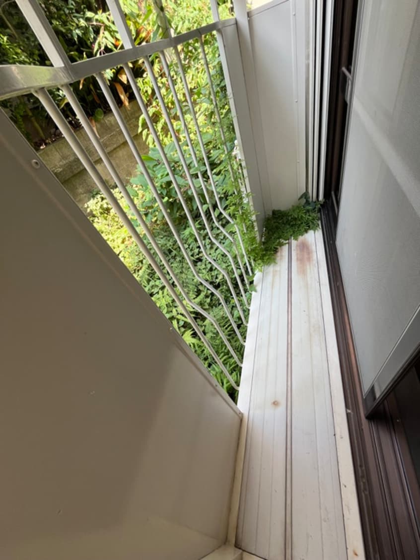 内観写真 ハイムアベリア