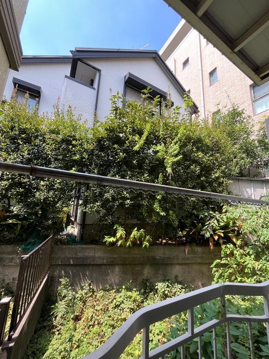 室内からの展望 ハイムアベリア