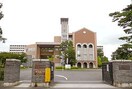 国立一橋大学小平国際キャンパス(大学/短大/専門学校)まで273m 西町コート