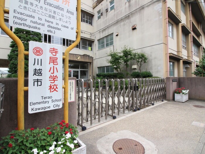 川越市立寺尾小学校(小学校)まで950m シャト－アゼリア