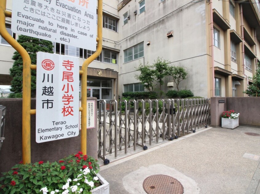 川越市立寺尾小学校(小学校)まで950m シャト－アゼリア