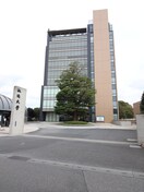 淑徳大学(大学/短大/専門学校)まで295m プチシャトー若草