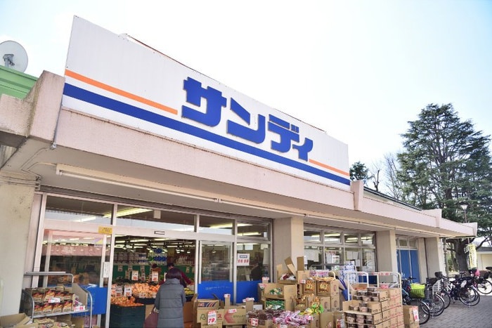 サンディつつじヶ丘店(スーパー)まで445m YSコア