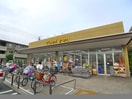 マツモトキヨシ(ドラッグストア)まで650m Ｇｕｒａｎｄｅ 本八幡