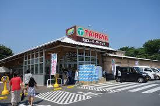 TAIRAYA川鶴店(スーパー)まで1400m プレジールI