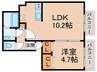 森下ヒルズ 1LDKの間取り