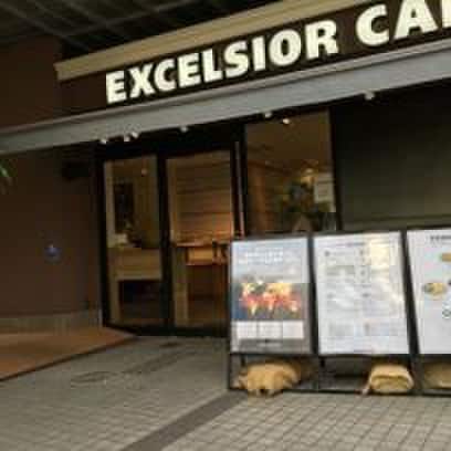 エクセルシオールカフェ(カフェ)まで650m ALERO北参道