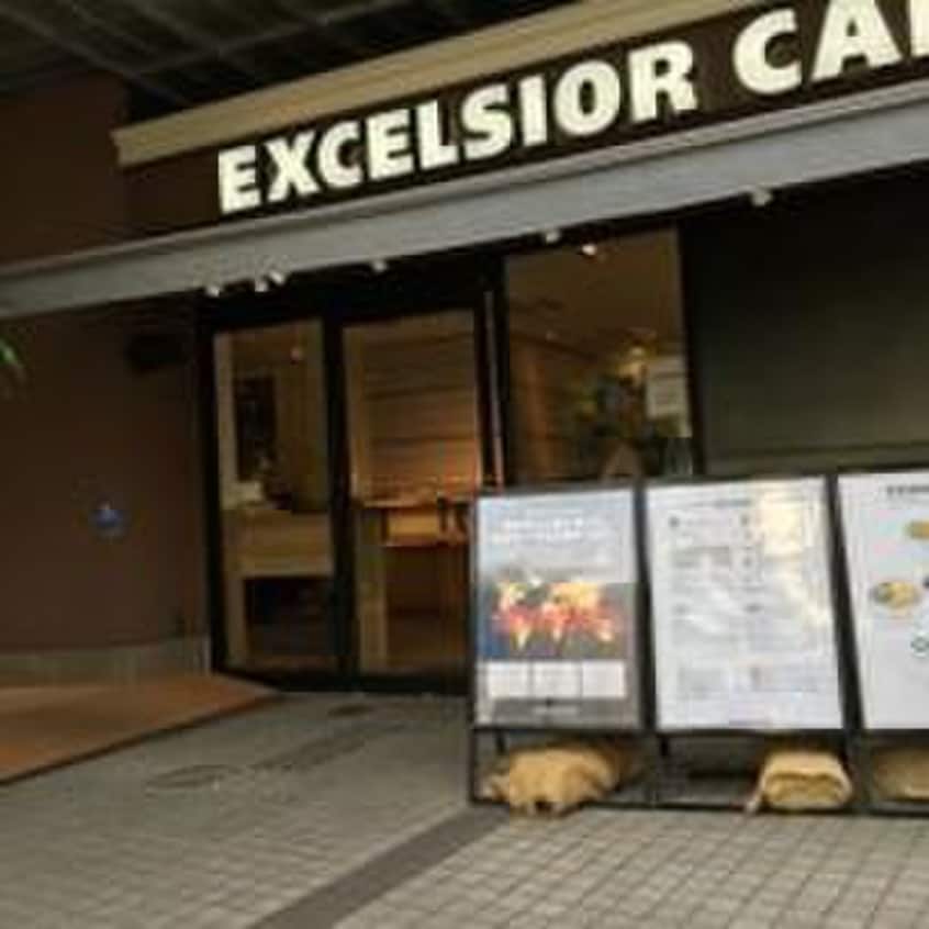 エクセルシオールカフェ(カフェ)まで650m ALERO北参道