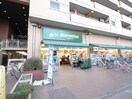 マルエツ菊川店(スーパー)まで92m LUMEED CUBE菊川PREMIUM(407)