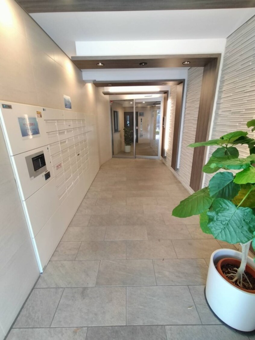 建物設備 プルメリア