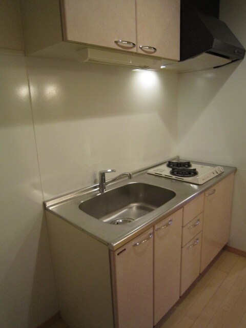 内観写真 ジェミナイ