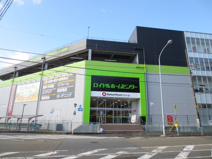 ロイヤルホームセンター(電気量販店/ホームセンター)まで427m ト－ラス