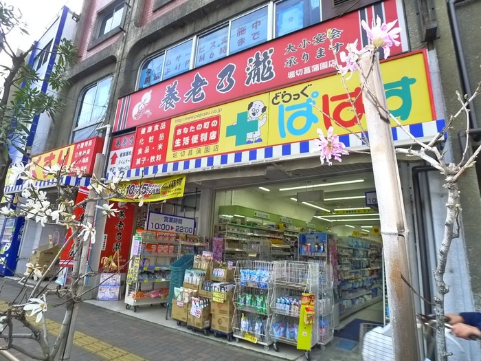 どらっぐぱぱす(ドラッグストア)まで1200m 松浦コーポ