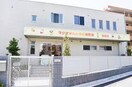 マジオたんぽぽ保育園下平間(幼稚園/保育園)まで230m パルテ－ルミユキ