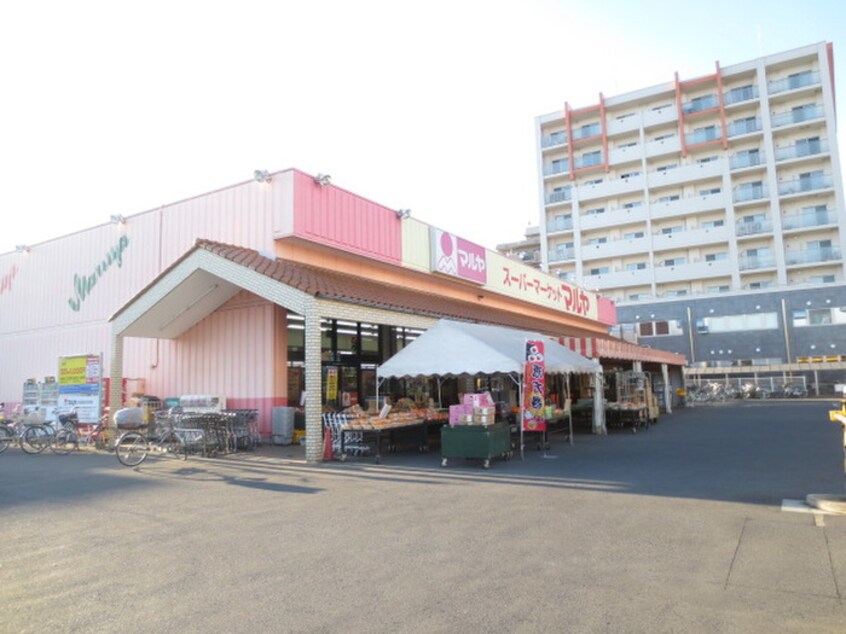 マルヤ(スーパー)まで840m 第３千代田マンション