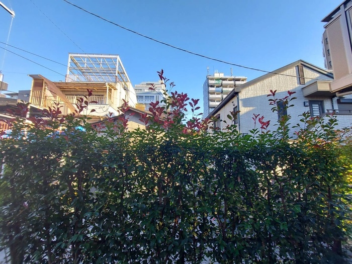 室内からの展望 シャングリラ