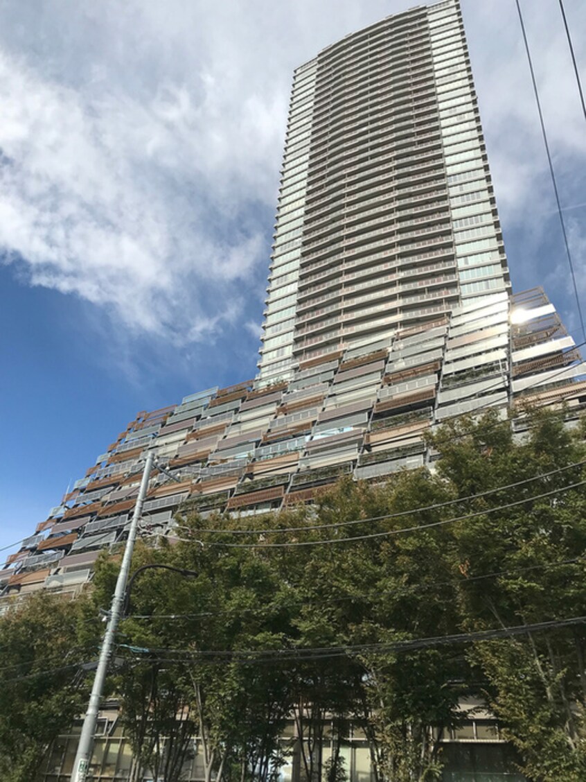 豊島区役所(役所)まで550m CONTEL　MINAMIIKEBUKURO