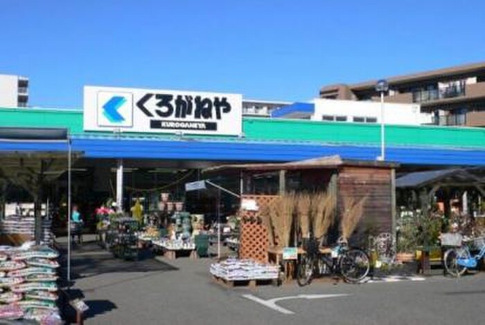 くろがねや(電気量販店/ホームセンター)まで900m センチュリー旭