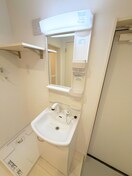 洗面 ブルーローズ