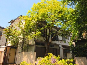 茂木アパート