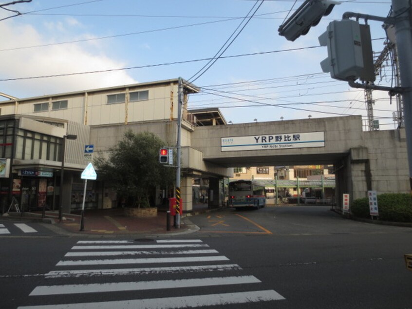 京急ストアー(スーパー)まで220m カサブランカ