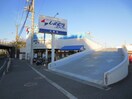 しまむらストア(スーパー)まで312m 大磯シ－サイドコ－ポＢ