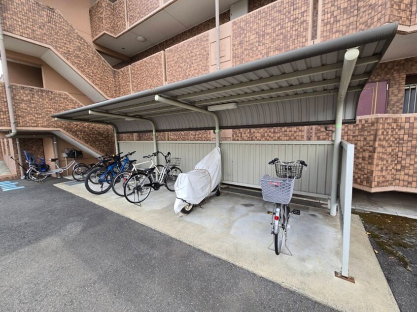 駐輪場 セイシェル