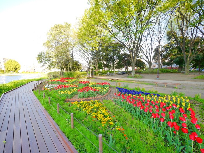 石神井公園(公園)まで840m パ－クハウス武蔵野東棟