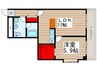 ダイワティアラ津田沼Ⅷ 1LDKの間取り