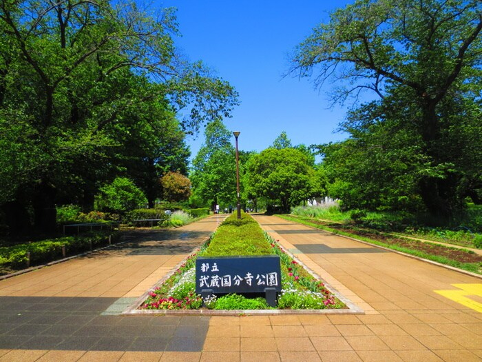 都立武蔵国分寺公園(公園)まで43m メゾン泉