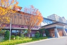 七福の湯(その他飲食（ファミレスなど）)まで400m キャッスルカネコ