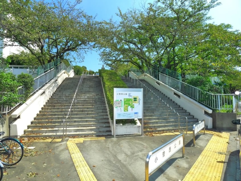 小菅西公園(公園)まで600m 小菅レジデンス